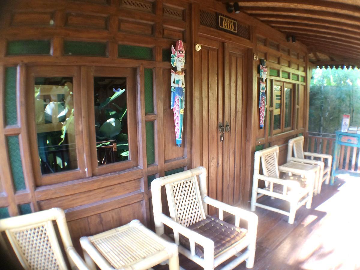 Paddy & Ubud (Bali)