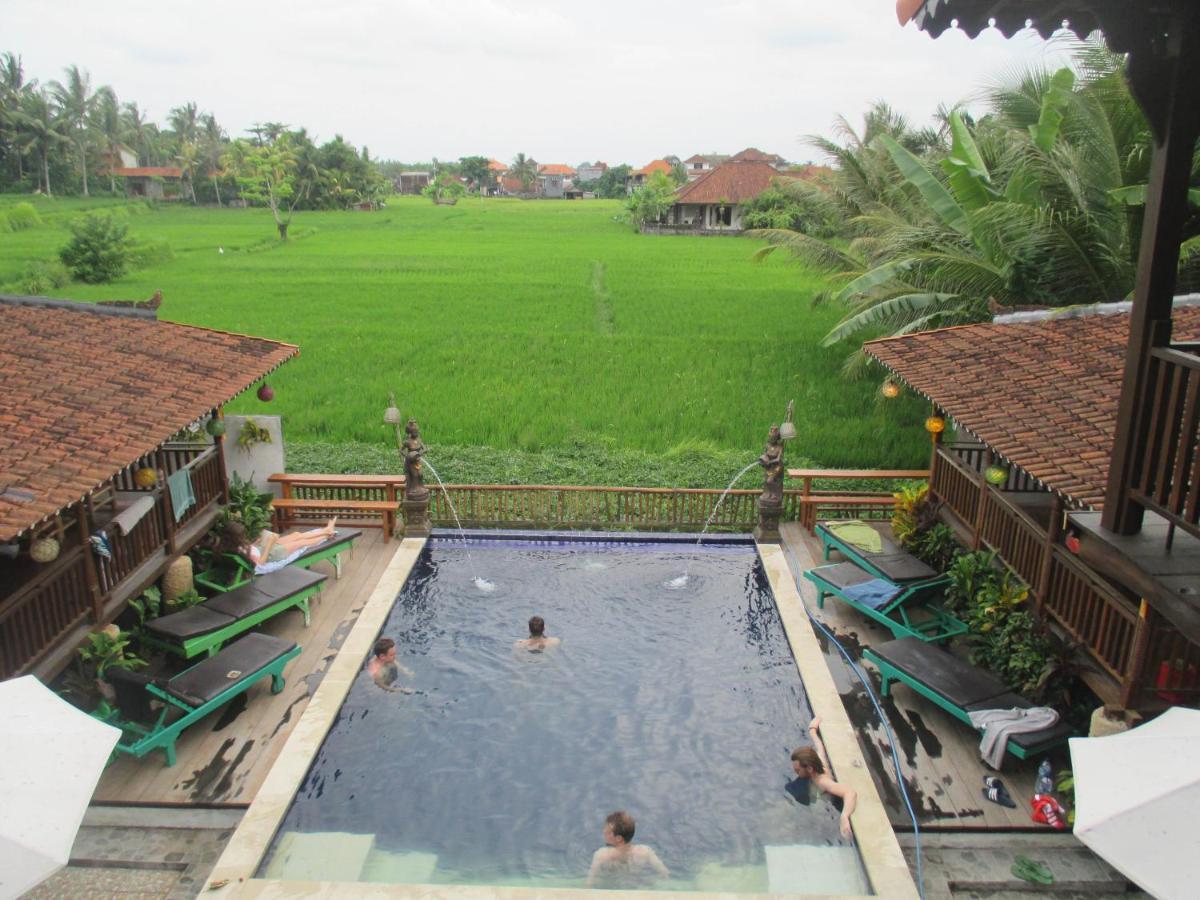 Paddy & Hostel Ubud