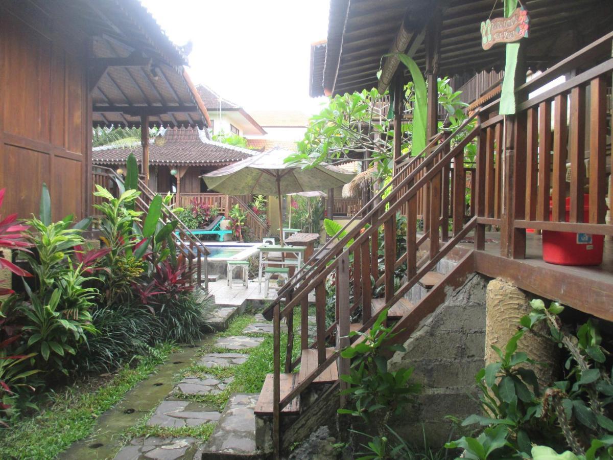 Paddy & Auberge de jeunesse *