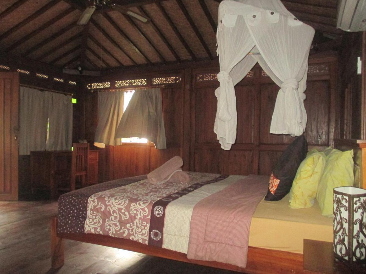 Paddy & * Ubud (Bali)