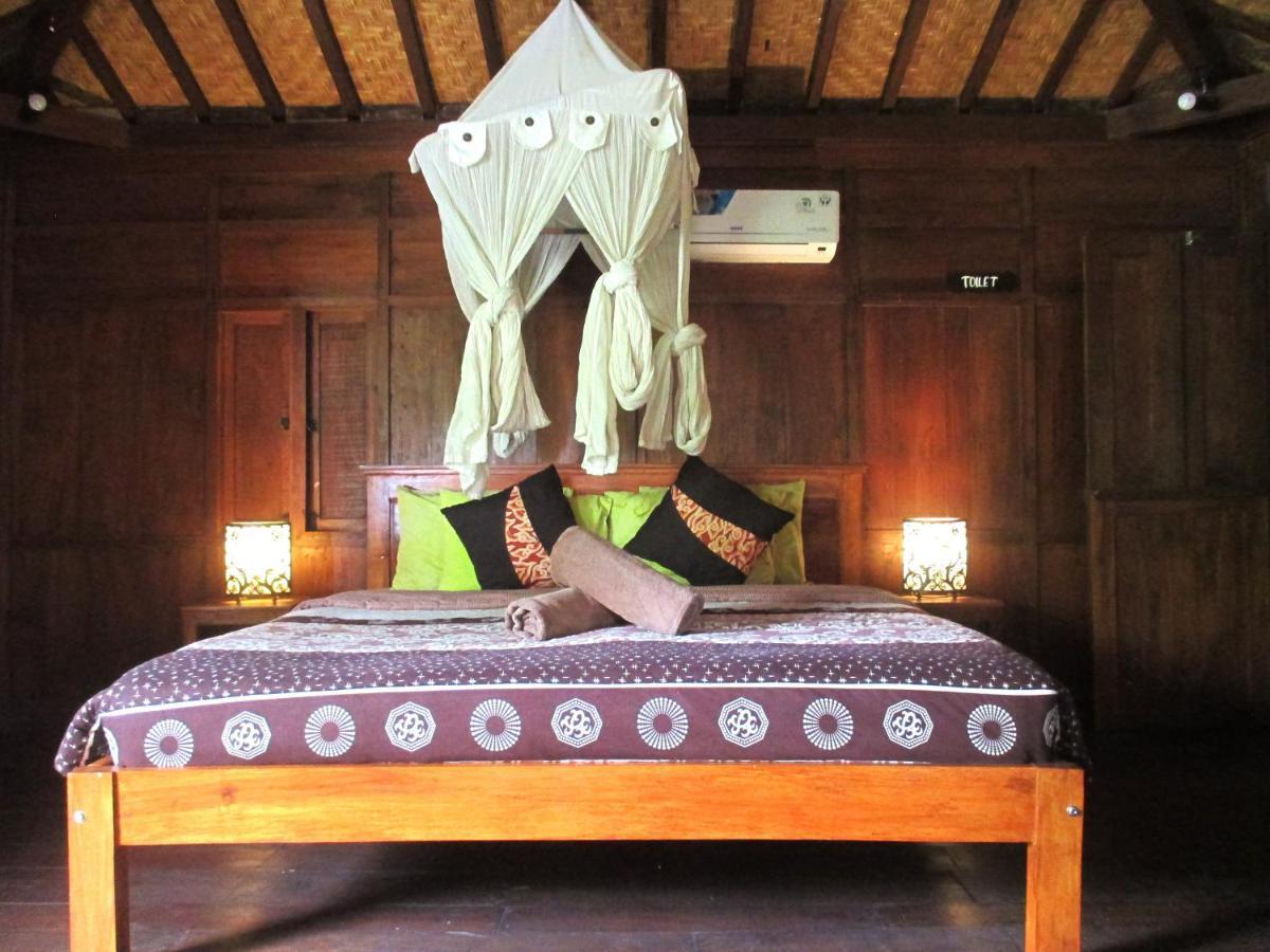 Paddy & Auberge de jeunesse *