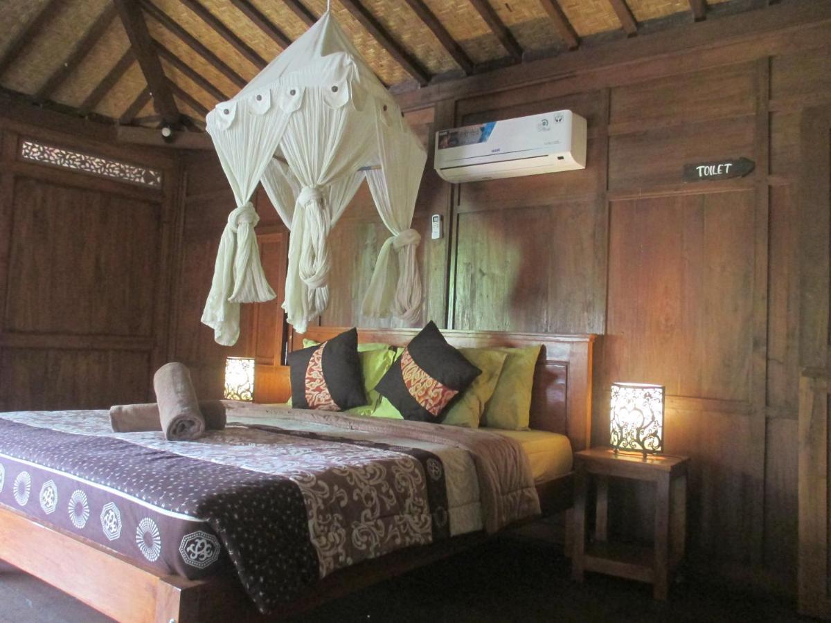Auberge de jeunesse Paddy &