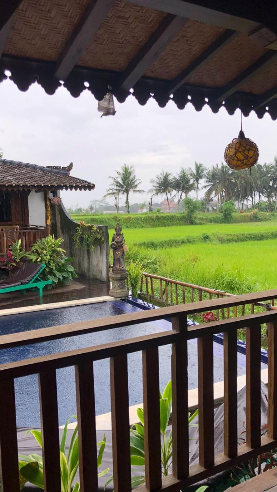 Paddy & Hostel Ubud