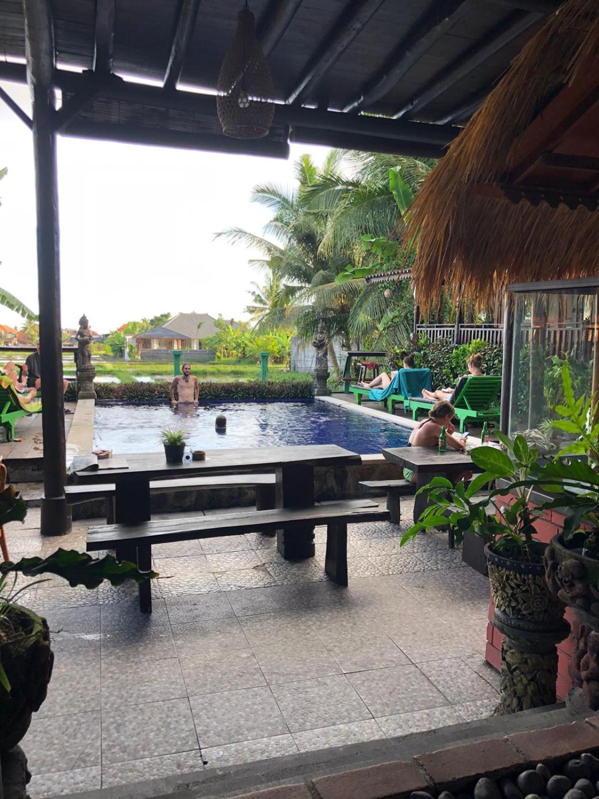 Paddy & * Ubud