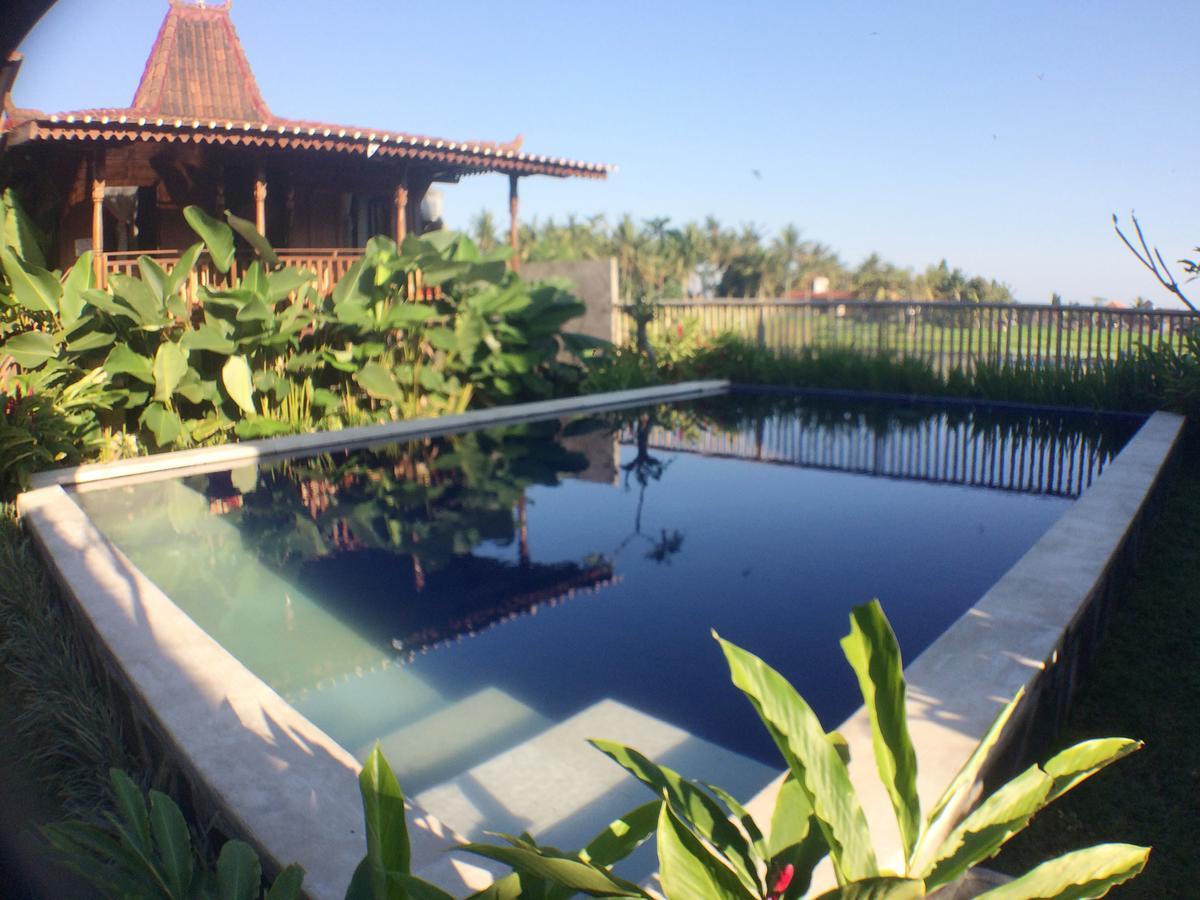 Paddy & Ubud (Bali)