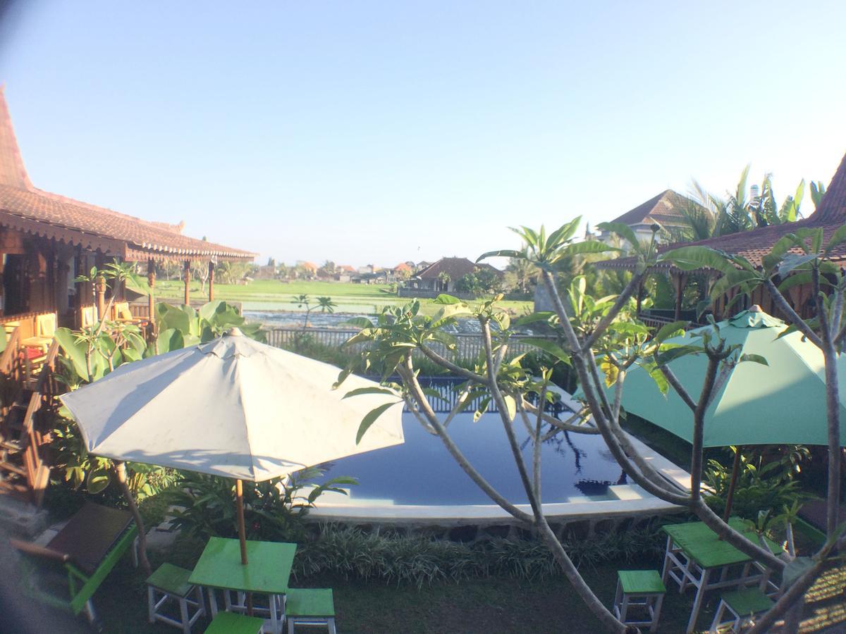 Paddy & Hostel Ubud