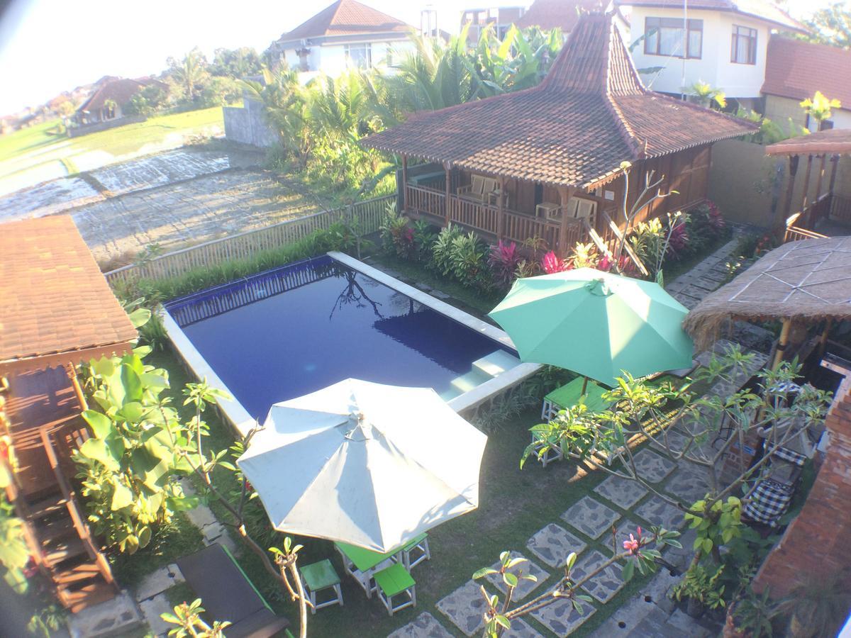 Paddy & Hostel Ubud (Bali)