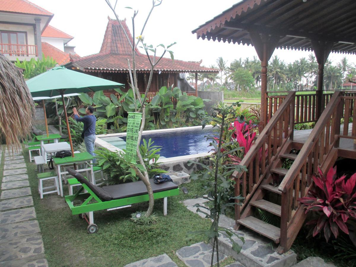 Paddy & Ubud (Bali)